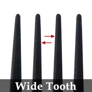 la dent large est une dent longue et fine avec une dent large.