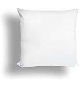 Intemporel Oreiller Anti-acarien Confort 40x40 cm