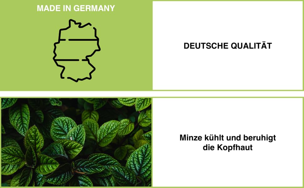: En haut à gauche, le texte vert « FABRIQUÉ EN ALLEMAGNE » avec le contour de la carte est affiché. En bas à gauche, des feuilles d'un vert éclatant présentent des motifs veineux distincts.