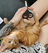 Candure Chat Coupe-Ongles Les Ciseaux Pour Les Professionnels- Animal De Compagnie Soins Des Grif...