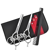 comprenant deux ciseaux argentés, un peigne rouge et un étui de transport noir. Les ciseaux ont des anneaux et des pointes pointues.