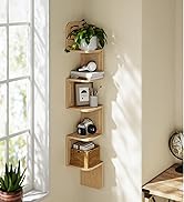 avec quatre compartiments carrés. Objets de décoration, plantes et petits appareils électroménagers exposés sur des étagères près d'une fenêtre.