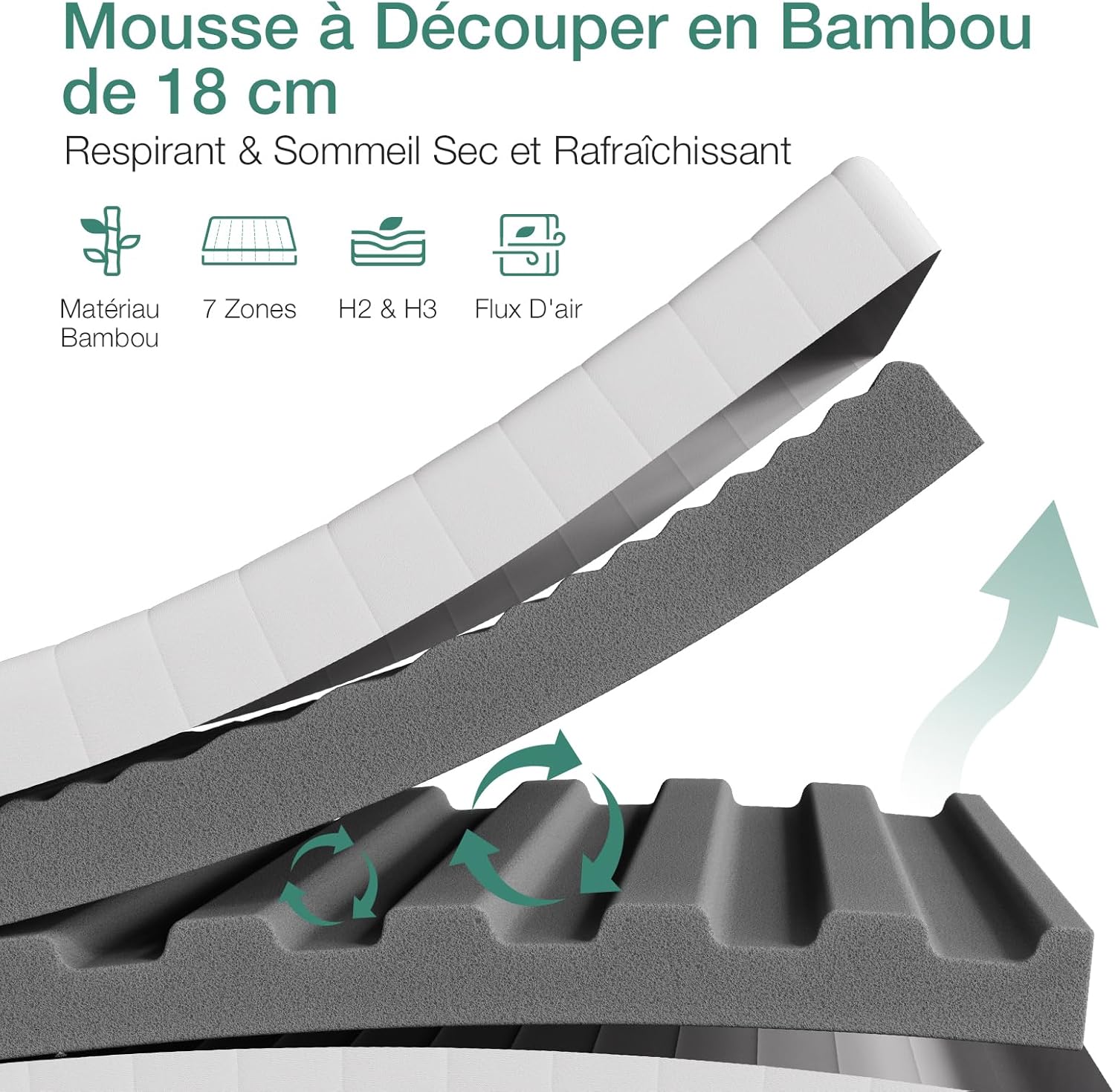 Compris, prêt à reformuler vos titres selon ces instructions. Veuillez fournir le prochain titre.