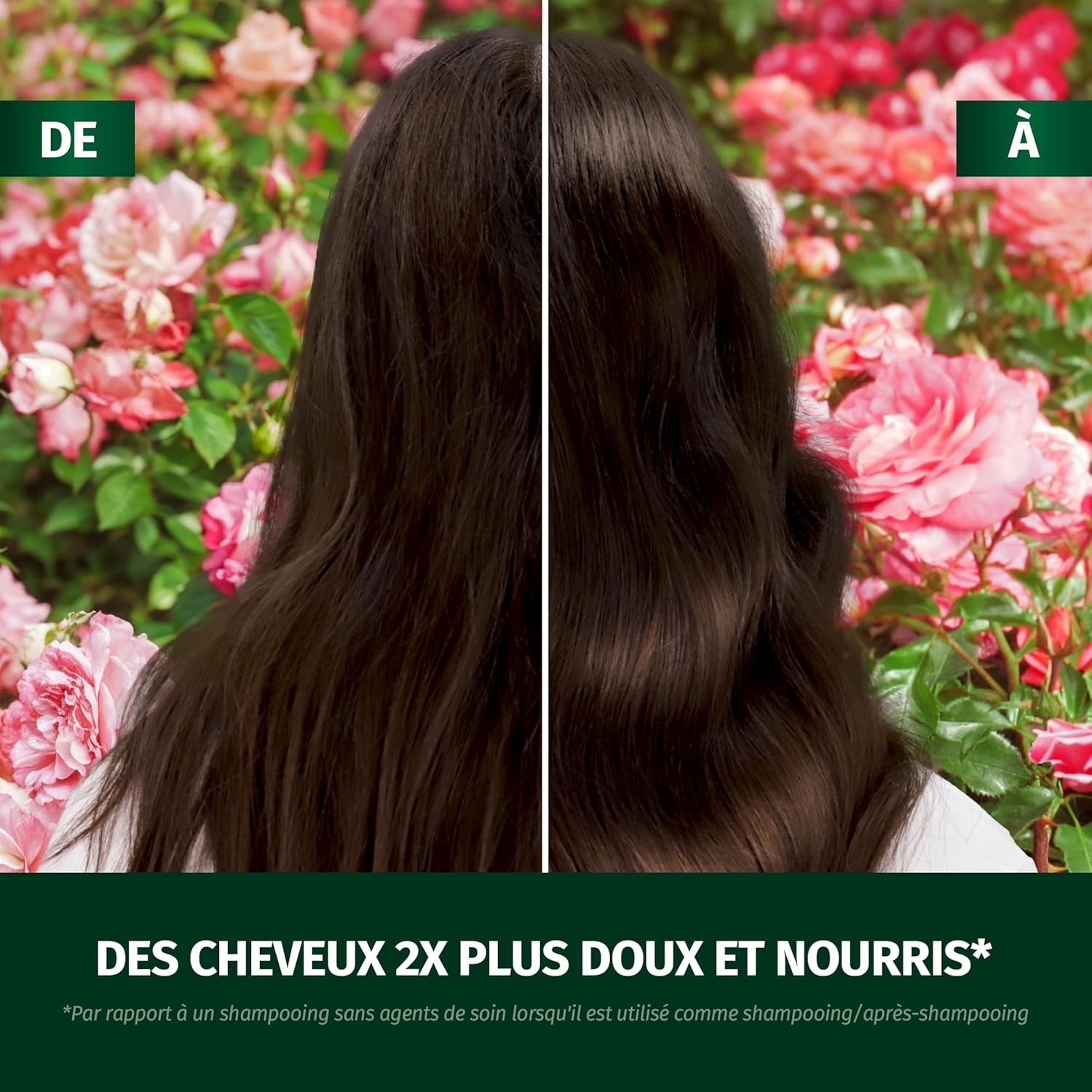 Herbal Essences - Parfum Rose Douceur - 145ml - spray nourrissant démêlant, anti-frisottis, éclat