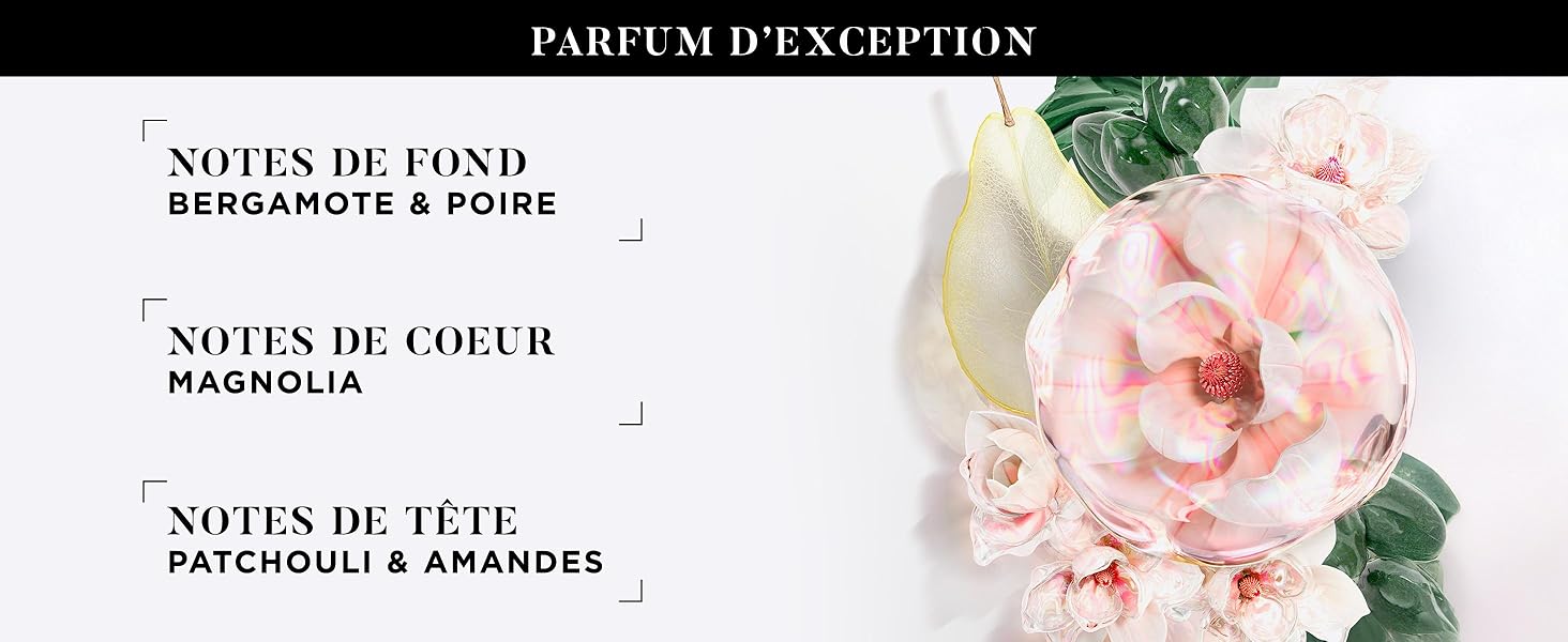 Le texte se lit comme suit : « NOTES DE FOND », « NOTES DE CŒUR », « NOTES DE TÊTE », « PATCHOULI ». Matériel de commercialisation de parfums ou de parfums avec des illustrations florales roses.