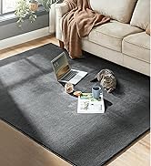 Grand tapis gris foncé dans le salon avec un ordinateur portable, un chat et des rafraîchissements dessus, à côté d'un canapé beige avec une couverture marron.