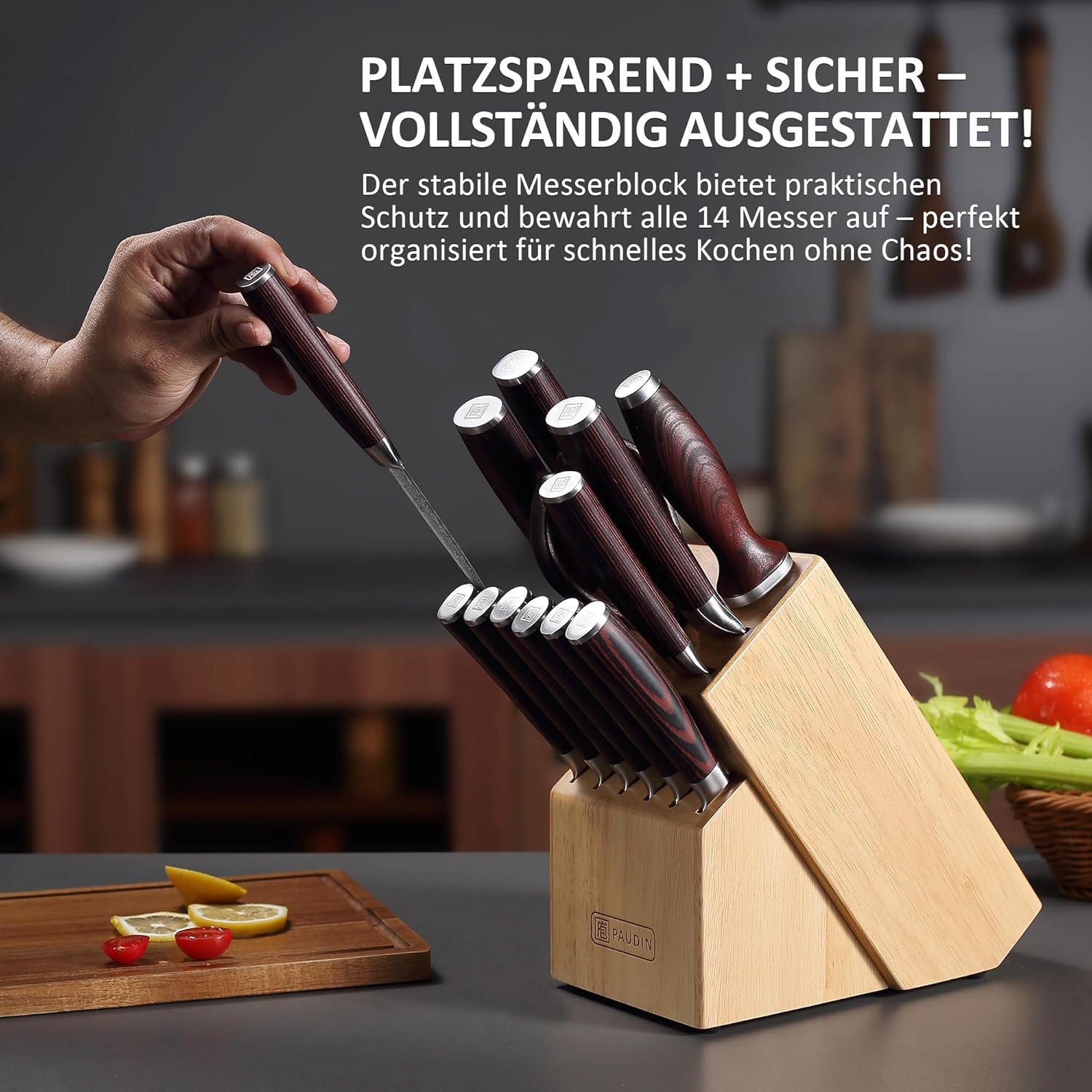PAUDIN - Set Couteaux Cuisine Série Pro - 14 pcs - Acier Allemand, manche bois