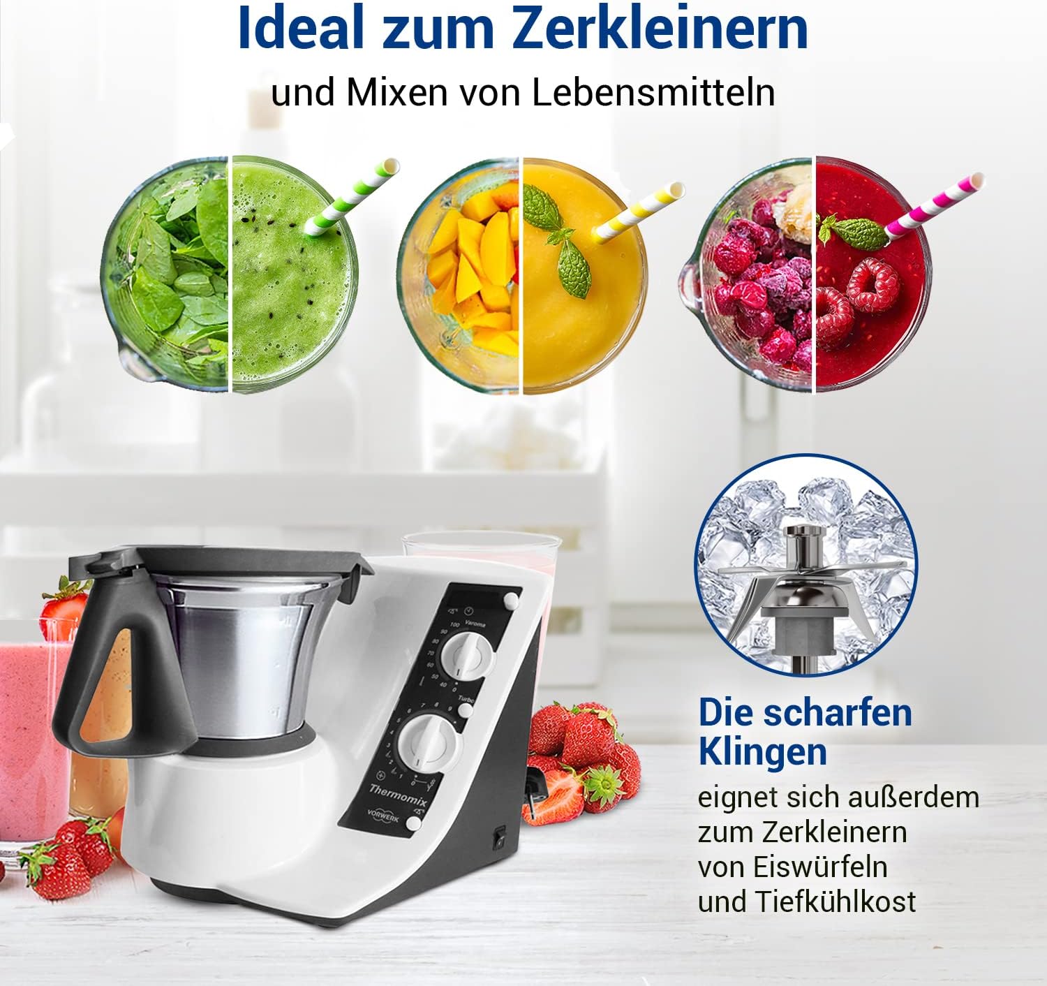 Vioks - couteau mélangeur inox SUS420, 4 lames, joint, TM21