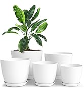 Utopia Home Lot de 10 Pots de Fleurs 18/17/15/13/12 cm Plantpot avec Soucoupe pour la Cuisine, Le...