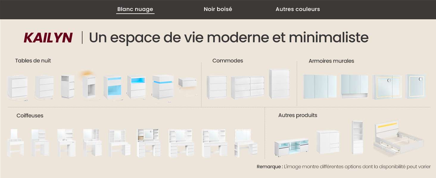 Le texte se lit comme suit : « KAILYN | Un espace de vie moderne et minimaliste ». Conception d'en-tête ou de bannière de site Web avec menu de navigation et mise en page minimaliste.