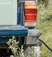 Gros plan du coin arrière d'un véhicule, montrant un feu arrière rouge et blanc. Le corps est bleu avec une usure visible. Le feuillage vert est visible en arrière-plan.