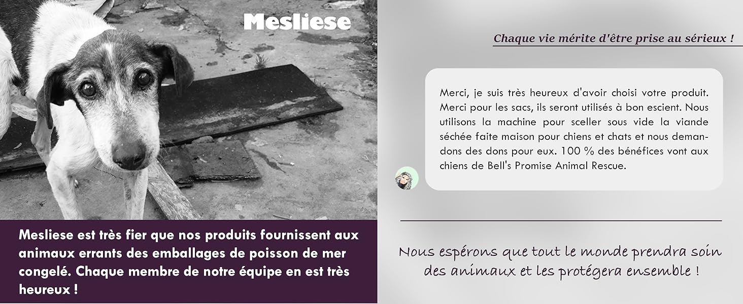 Image en noir et blanc d'un chien avec un texte promotionnel sur les produits pour animaux de compagnie en français, mettant l'accent sur les emballages écologiques et le bien-être des animaux.