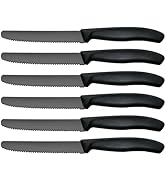 Hunnycook Lot de 6 couteaux à petit-déjeuner, couteaux de table noirs avec lame dentelée, couteau à pain
