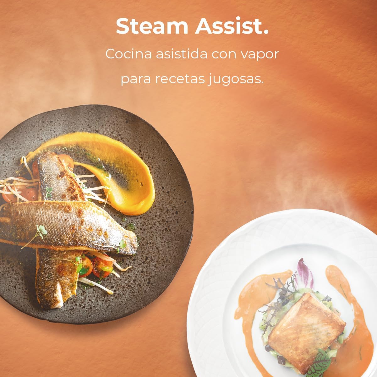 Cecotec - Bolero Hexa M236000 - four encastrable 70L - multifonctions, minuterie, classe A, 2800W, triple vitrage M23600