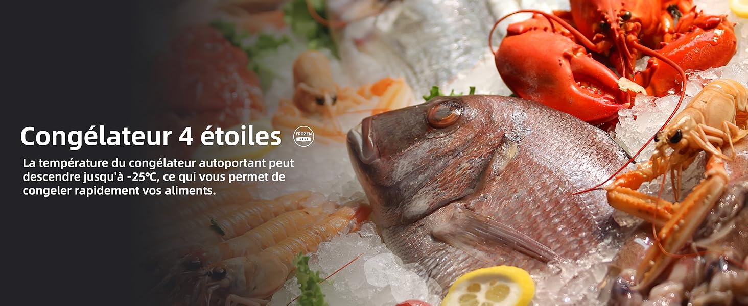 un poisson sur la glace avec un poisson dessus