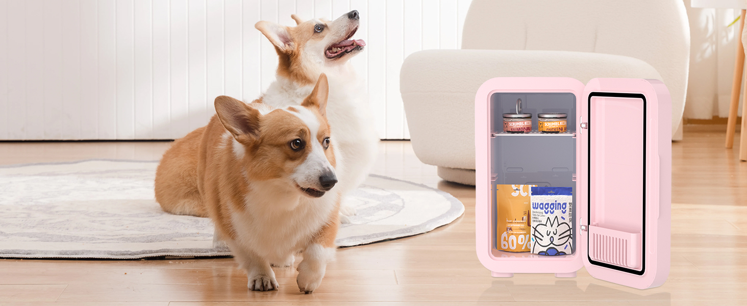 Mini réfrigérateur