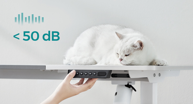 Chat blanc posé sur une plate-forme surélevée. Dispositif de réglage manuel ci-dessous. La superposition de texte indique un niveau de bruit inférieur à 50 dB.