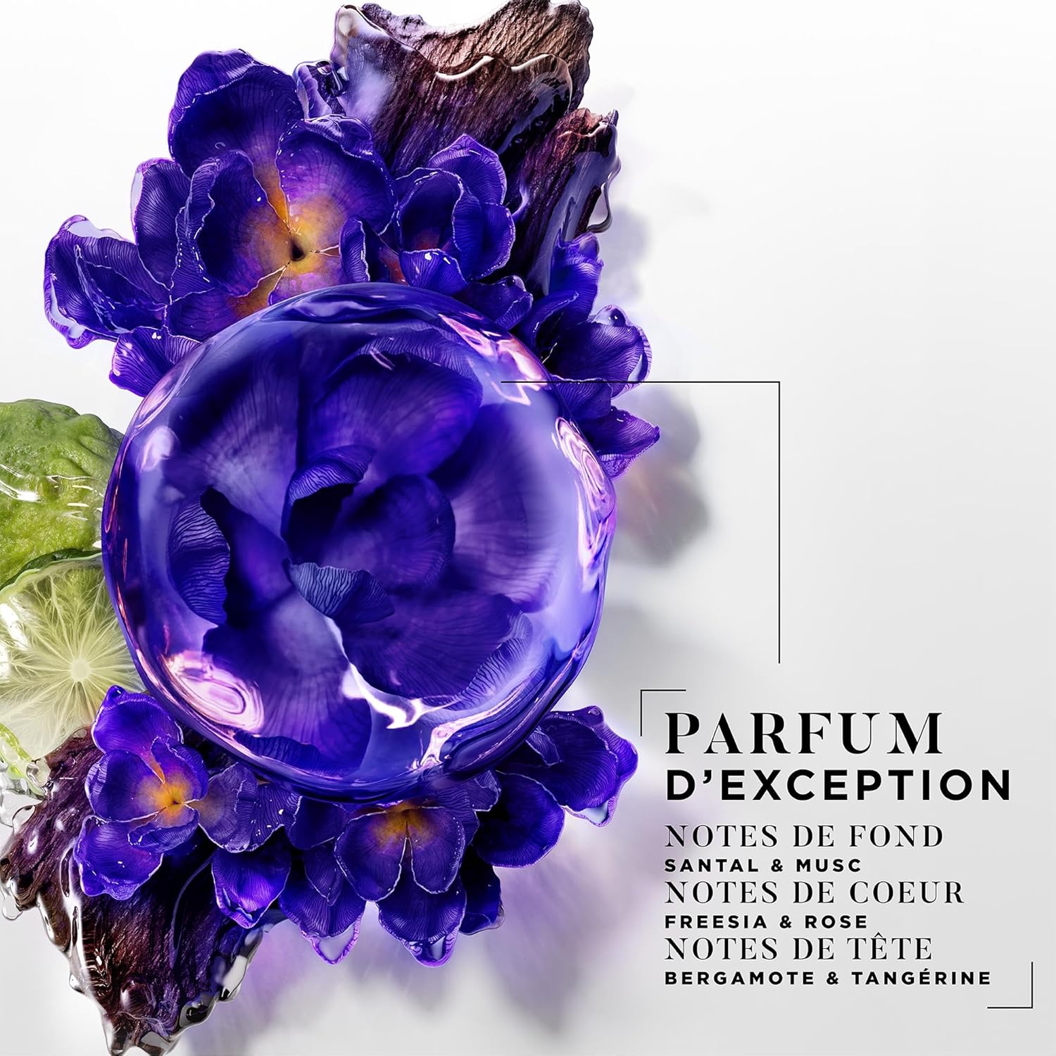 DESSANGE - Shampoing Blond Californien - 280ml - nourrit, neutralise les reflets jaunes