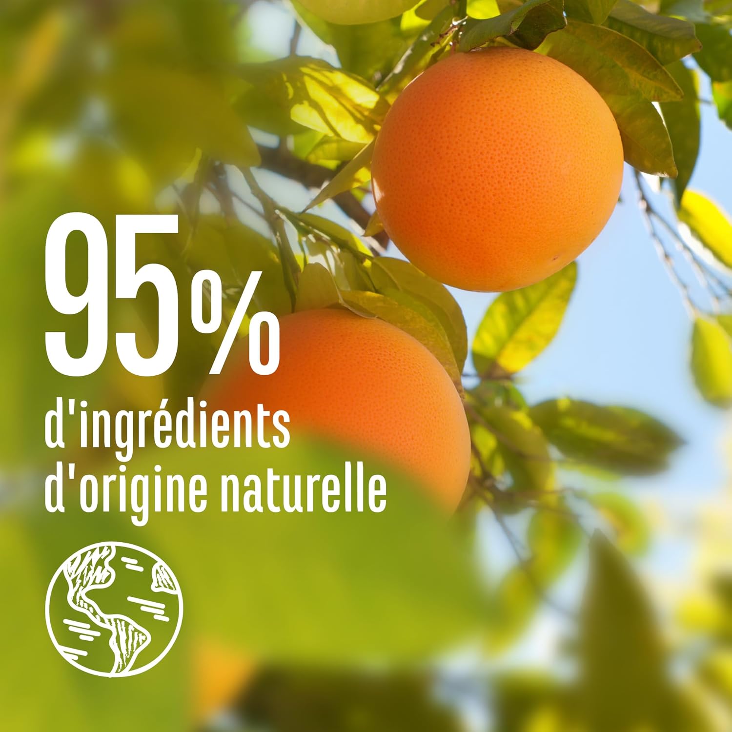 Le Petit Marseillais - Spray Démêlant Zeste - 200ml - soin sans rinçage, 95% naturel