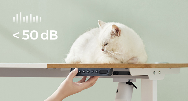 Chat blanc assis sur un appareil élégant, peut-être un purificateur d'air ou un humidificateur. La superposition de texte indique un niveau de bruit inférieur à 50 dB. Montré à la main pour l'échelle.