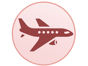 un cercle avec un avion volant dans les airs.