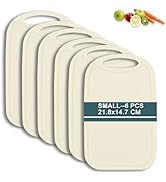 Hunnycook Lot de 6 planches à découper antibactériennes en plastique avec rigole de jus 22 x 15 cm