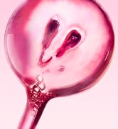 Série de photographies artistiques rapprochées dans des tons roses/rouges montrant des formes courbes abstraites et des surfaces réfléchissantes avec un éclairage spectaculaire.