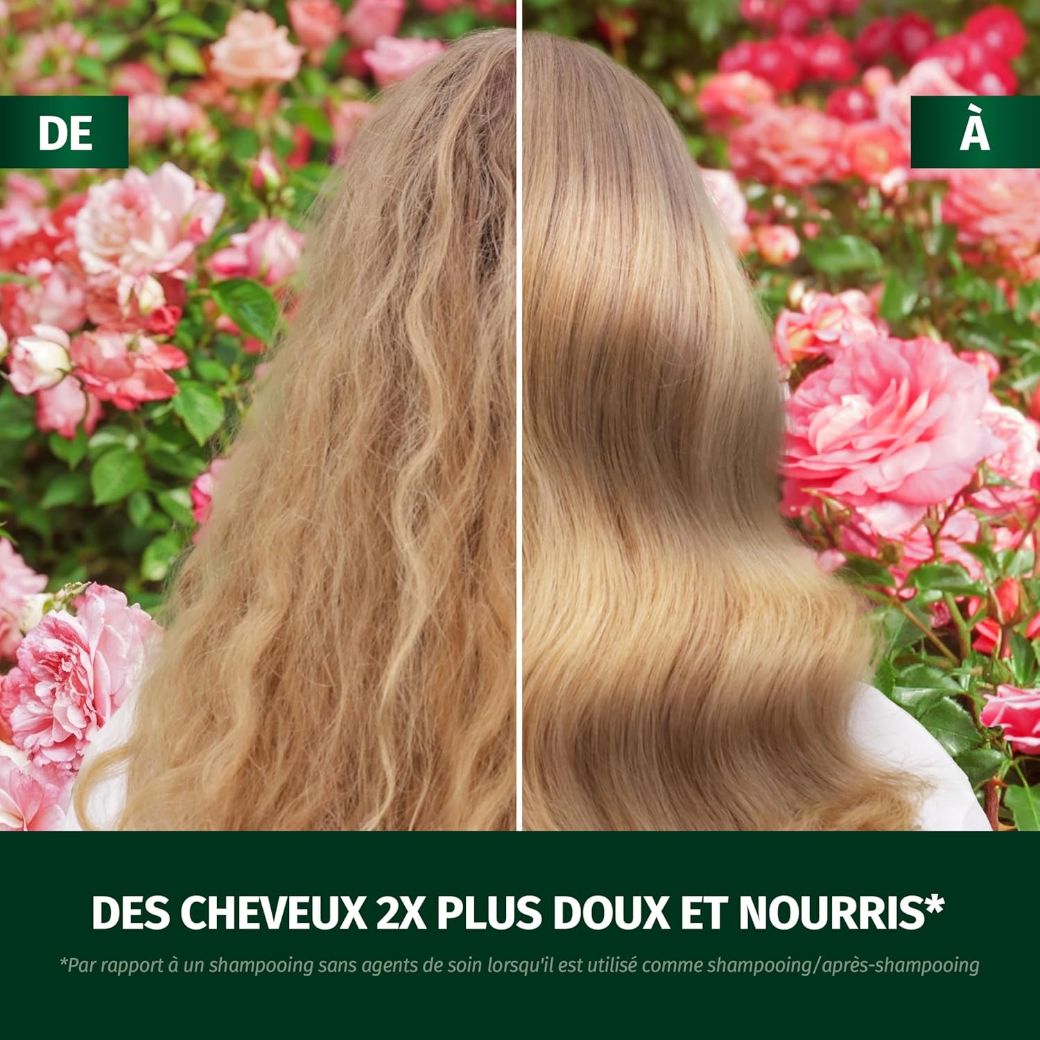 Herbal Essences - Parfum Rose Douceur - 145ml - spray nourrissant démêlant, anti-frisottis, éclat