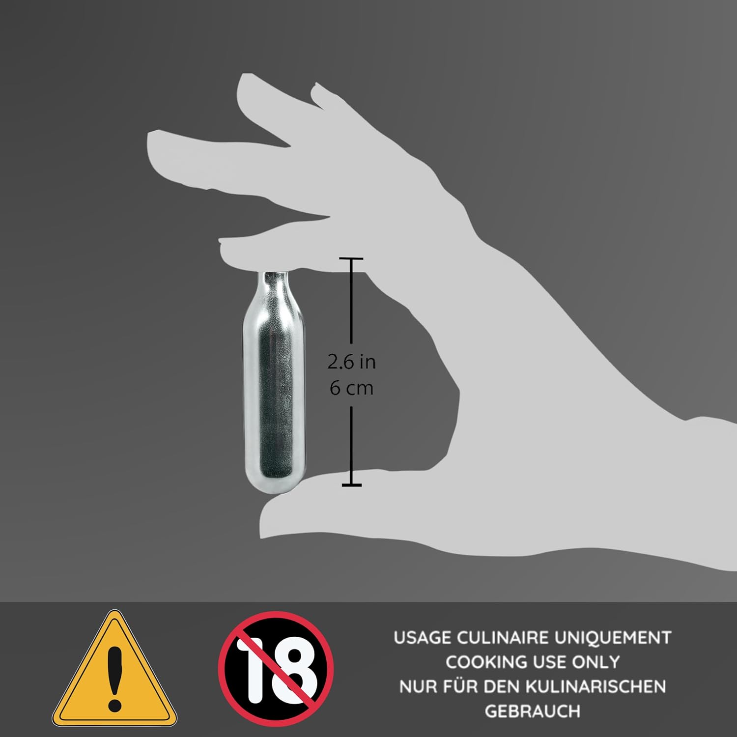 Mastrad - cartouches N₂O acier 8g - lot de 10, recyclables, universelles