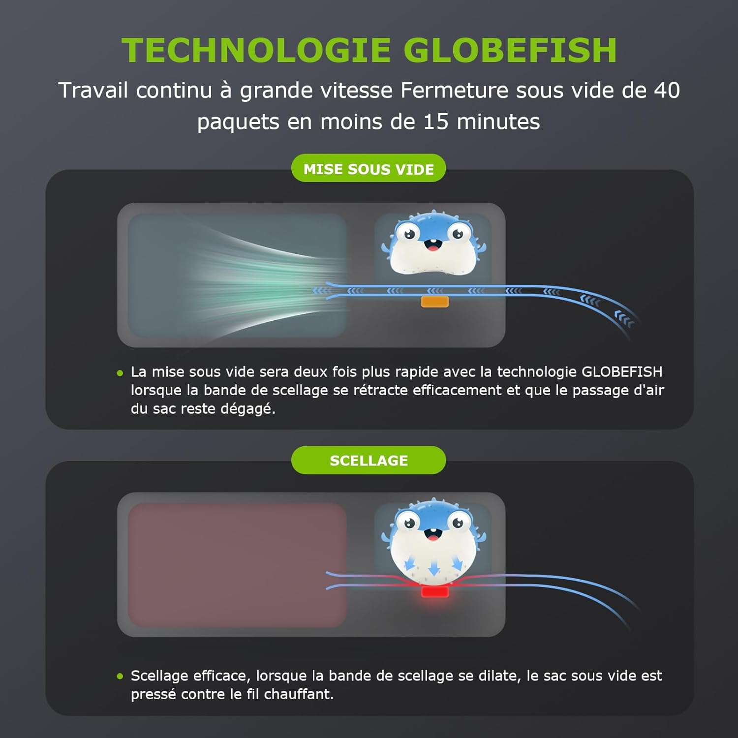 Bonsenkitchen - machine sous vide 8 L/min, 5 modes, sacs inclus